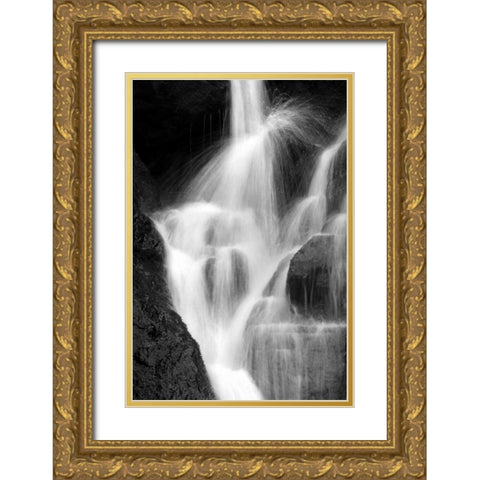 Falling Water IV BW Gold Ornate Wood Framed Art Print with Double Matting by Taylor, Douglas