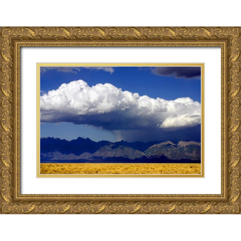 Cool Colorado Rain Gold Ornate Wood Framed Art Print with Double Matting by Taylor, Douglas