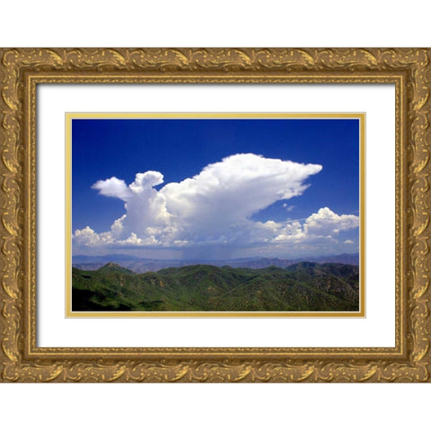 Distant Rain Gold Ornate Wood Framed Art Print with Double Matting by Taylor, Douglas