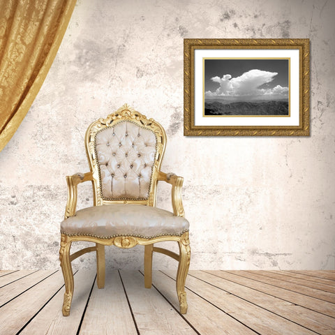Distant Rain BW Gold Ornate Wood Framed Art Print with Double Matting by Taylor, Douglas