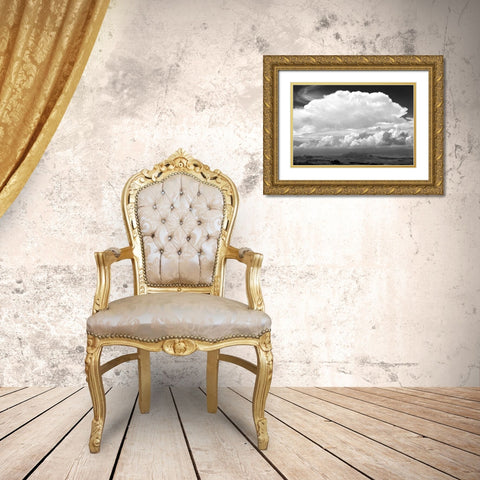 Sunday Morning Storm BW Gold Ornate Wood Framed Art Print with Double Matting by Taylor, Douglas