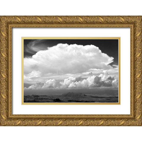 Sunday Morning Storm BW Gold Ornate Wood Framed Art Print with Double Matting by Taylor, Douglas