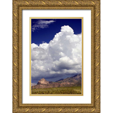 Gathering Summer Storm Gold Ornate Wood Framed Art Print with Double Matting by Taylor, Douglas