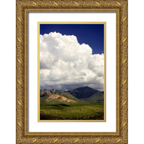 The Coming Storm Gold Ornate Wood Framed Art Print with Double Matting by Taylor, Douglas