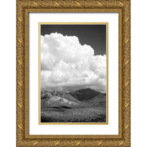 The Coming Storm BW Gold Ornate Wood Framed Art Print with Double Matting by Taylor, Douglas