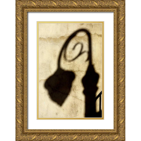 Shadow of Light Gold Ornate Wood Framed Art Print with Double Matting by Taylor, Douglas