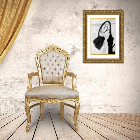 Shadow of Light BW Gold Ornate Wood Framed Art Print with Double Matting by Taylor, Douglas