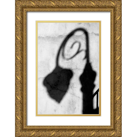 Shadow of Light BW Gold Ornate Wood Framed Art Print with Double Matting by Taylor, Douglas