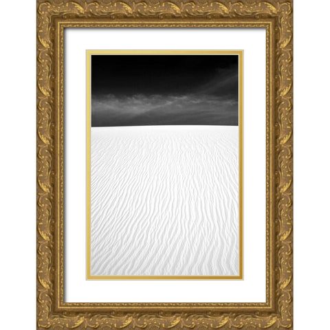 White Sands New Mexico Gold Ornate Wood Framed Art Print with Double Matting by Taylor, Douglas