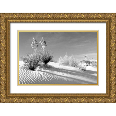 Shadows in the Sand II Gold Ornate Wood Framed Art Print with Double Matting by Taylor, Douglas