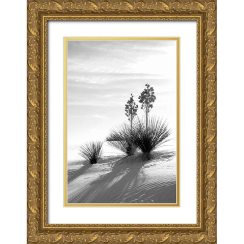 Yucca At White Sands II Gold Ornate Wood Framed Art Print with Double Matting by Taylor, Douglas