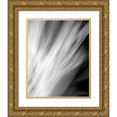Frozen Fire I Gold Ornate Wood Framed Art Print with Double Matting by Taylor, Douglas