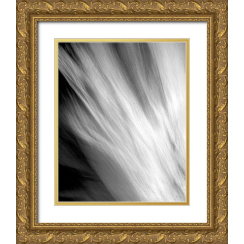 Frozen Fire II Gold Ornate Wood Framed Art Print with Double Matting by Taylor, Douglas