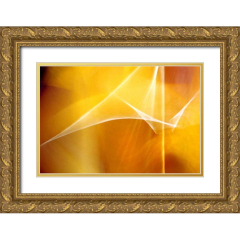 Amber Abstract I Gold Ornate Wood Framed Art Print with Double Matting by Taylor, Douglas