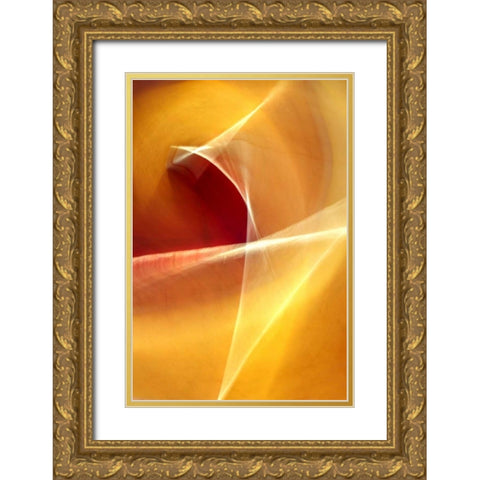 Ballet of Light Gold Ornate Wood Framed Art Print with Double Matting by Taylor, Douglas