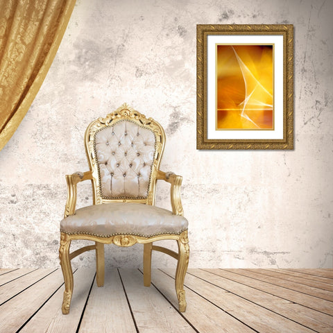 Amber Refraction I Gold Ornate Wood Framed Art Print with Double Matting by Taylor, Douglas