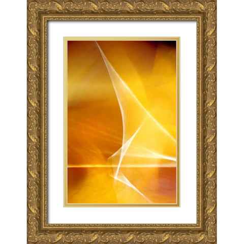 Amber Refraction I Gold Ornate Wood Framed Art Print with Double Matting by Taylor, Douglas