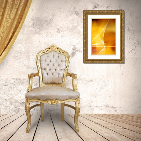 Amber Refraction II Gold Ornate Wood Framed Art Print with Double Matting by Taylor, Douglas