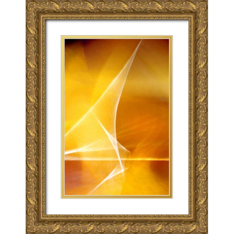 Amber Refraction II Gold Ornate Wood Framed Art Print with Double Matting by Taylor, Douglas