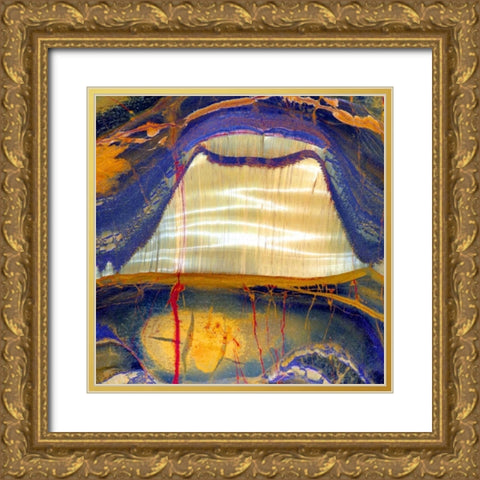 Tiger Eye Sq Gold Ornate Wood Framed Art Print with Double Matting by Taylor, Douglas