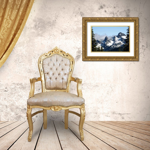 Goat Island Mountain Gold Ornate Wood Framed Art Print with Double Matting by Taylor, Douglas