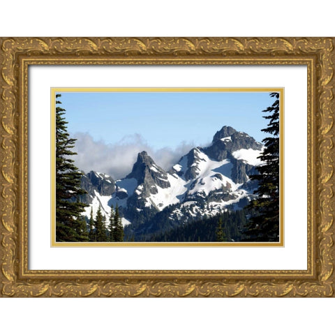 Goat Island Mountain Gold Ornate Wood Framed Art Print with Double Matting by Taylor, Douglas