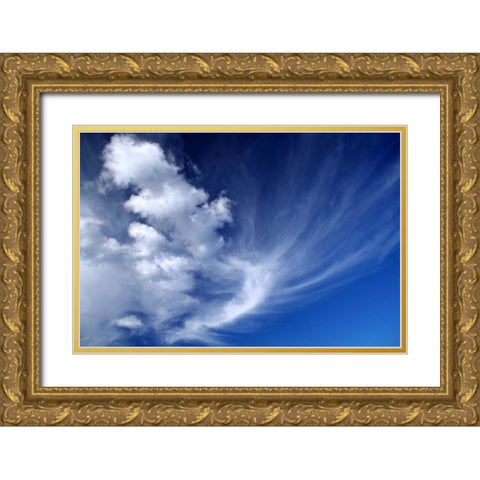 Clouds over Kitt Peak I Gold Ornate Wood Framed Art Print with Double Matting by Taylor, Douglas