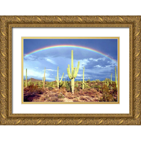 Desert Blessing II Gold Ornate Wood Framed Art Print with Double Matting by Taylor, Douglas