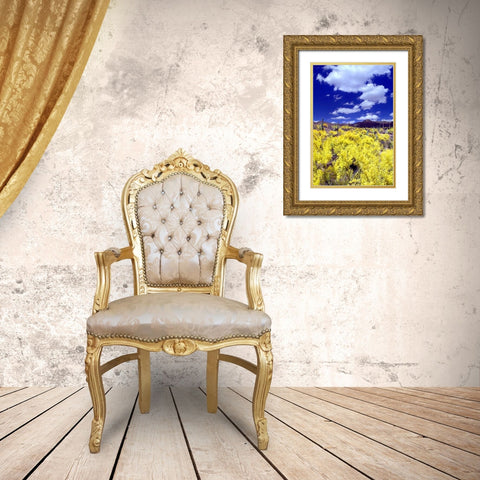 Palo Verde Bloom Gold Ornate Wood Framed Art Print with Double Matting by Taylor, Douglas