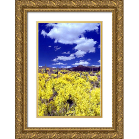 Palo Verde Bloom Gold Ornate Wood Framed Art Print with Double Matting by Taylor, Douglas