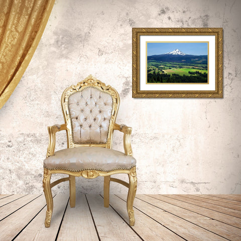 Hood River Gold Ornate Wood Framed Art Print with Double Matting by Taylor, Douglas
