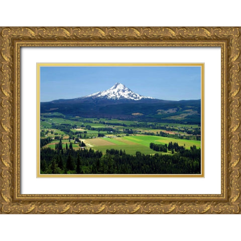 Hood River Gold Ornate Wood Framed Art Print with Double Matting by Taylor, Douglas