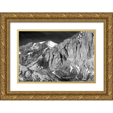 Sevehah Cliffs BW Gold Ornate Wood Framed Art Print with Double Matting by Taylor, Douglas