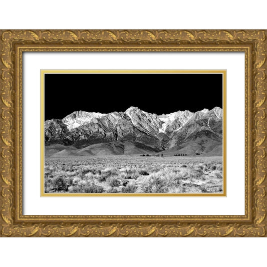 Perspective Image