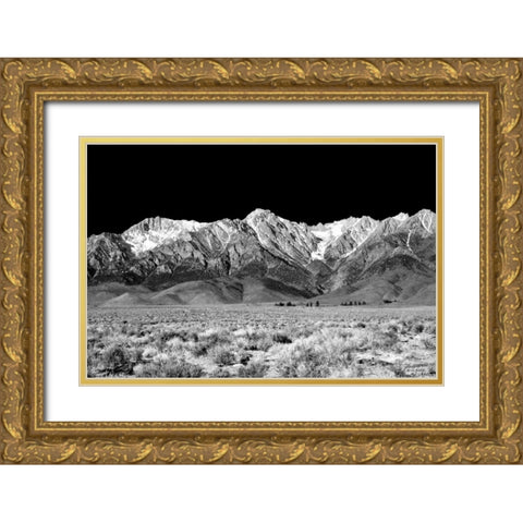 Owens Valley BW Gold Ornate Wood Framed Art Print with Double Matting by Taylor, Douglas