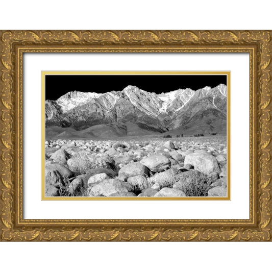 Perspective Image
