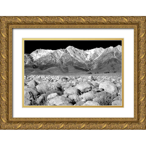 Independence Morning BW Gold Ornate Wood Framed Art Print with Double Matting by Taylor, Douglas