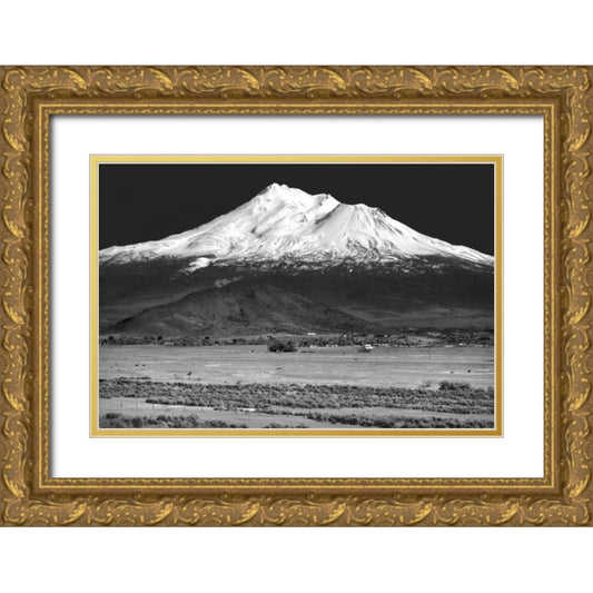 Perspective Image