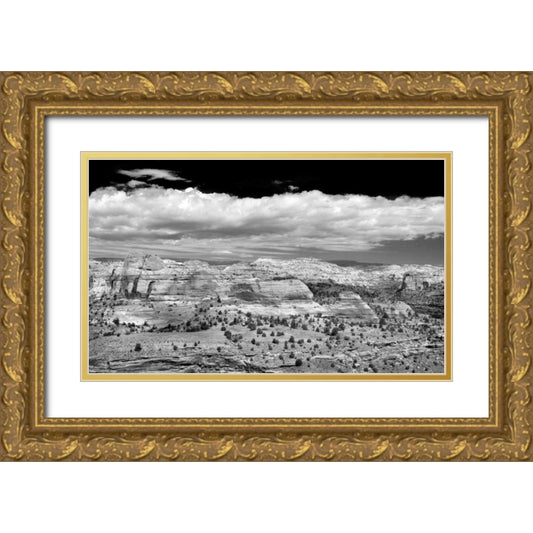 Perspective Image