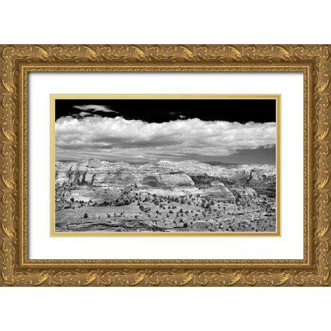 Slick Rock County BW Gold Ornate Wood Framed Art Print with Double Matting by Taylor, Douglas