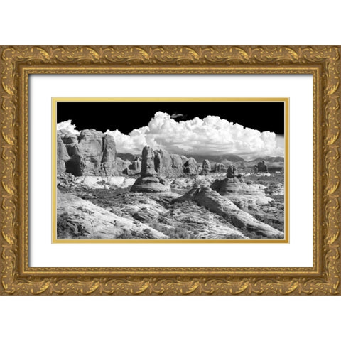 Weathering Sandstones BW Gold Ornate Wood Framed Art Print with Double Matting by Taylor, Douglas