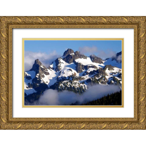 Goat Island Gold Ornate Wood Framed Art Print with Double Matting by Taylor, Douglas