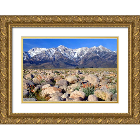 Independence Morning Gold Ornate Wood Framed Art Print with Double Matting by Taylor, Douglas