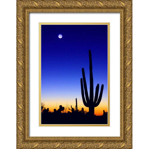 Winter Earthshine Gold Ornate Wood Framed Art Print with Double Matting by Taylor, Douglas