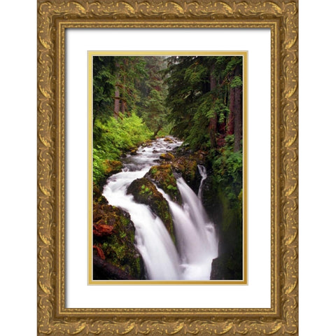 Sol Duc River Falls Gold Ornate Wood Framed Art Print with Double Matting by Taylor, Douglas