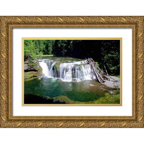 Lewis River Lower Falls Gold Ornate Wood Framed Art Print with Double Matting by Taylor, Douglas