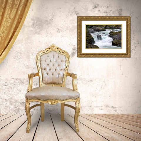 Salmon Cascades Gold Ornate Wood Framed Art Print with Double Matting by Taylor, Douglas