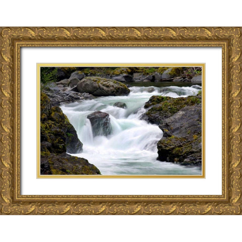 Salmon Cascades Gold Ornate Wood Framed Art Print with Double Matting by Taylor, Douglas