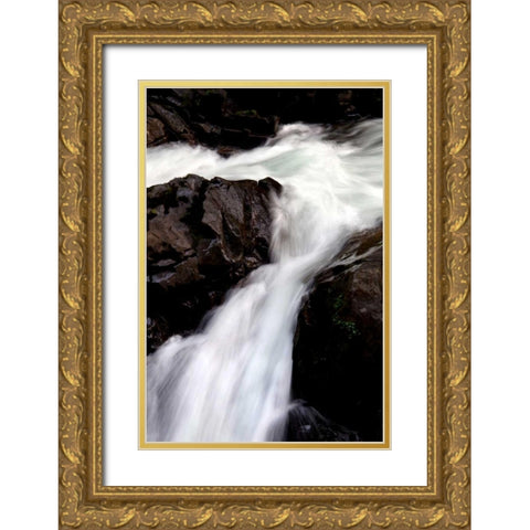 Sol Duc Falls II Gold Ornate Wood Framed Art Print with Double Matting by Taylor, Douglas