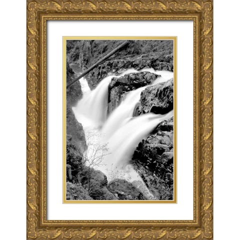 Sol Duc Falls I BW Gold Ornate Wood Framed Art Print with Double Matting by Taylor, Douglas